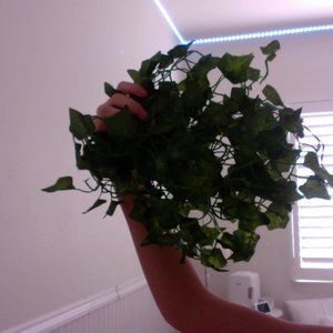 3 rows of fake hanging leaves